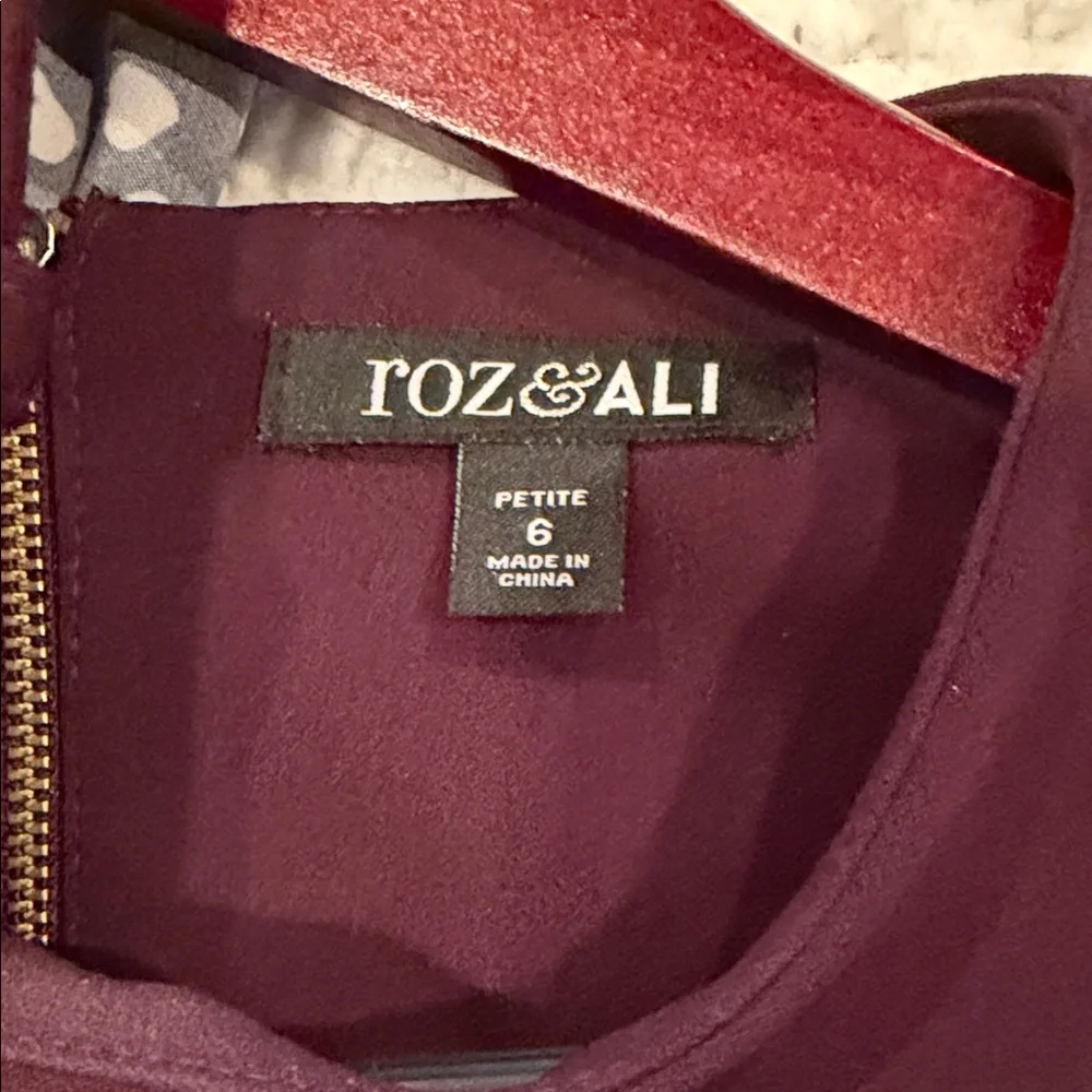 Roz & Ali Deep Burgundy Long Sleeve Dress - Picture 4 of 4